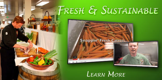 Fresh & Sustaible