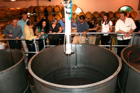 apa Valley Wine Train Ambassador Tour, Punch Downs at ZD